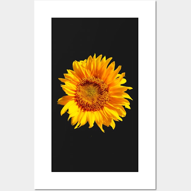 Real Sunflower Pattern for Summer/Autumn Fashion Wall Art by BubbleMench